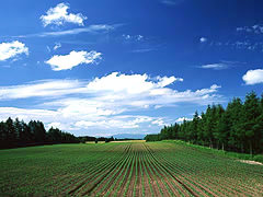 Farm land in Hokkaido