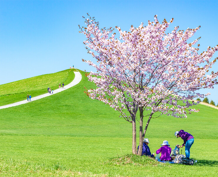 モエレ沼公園